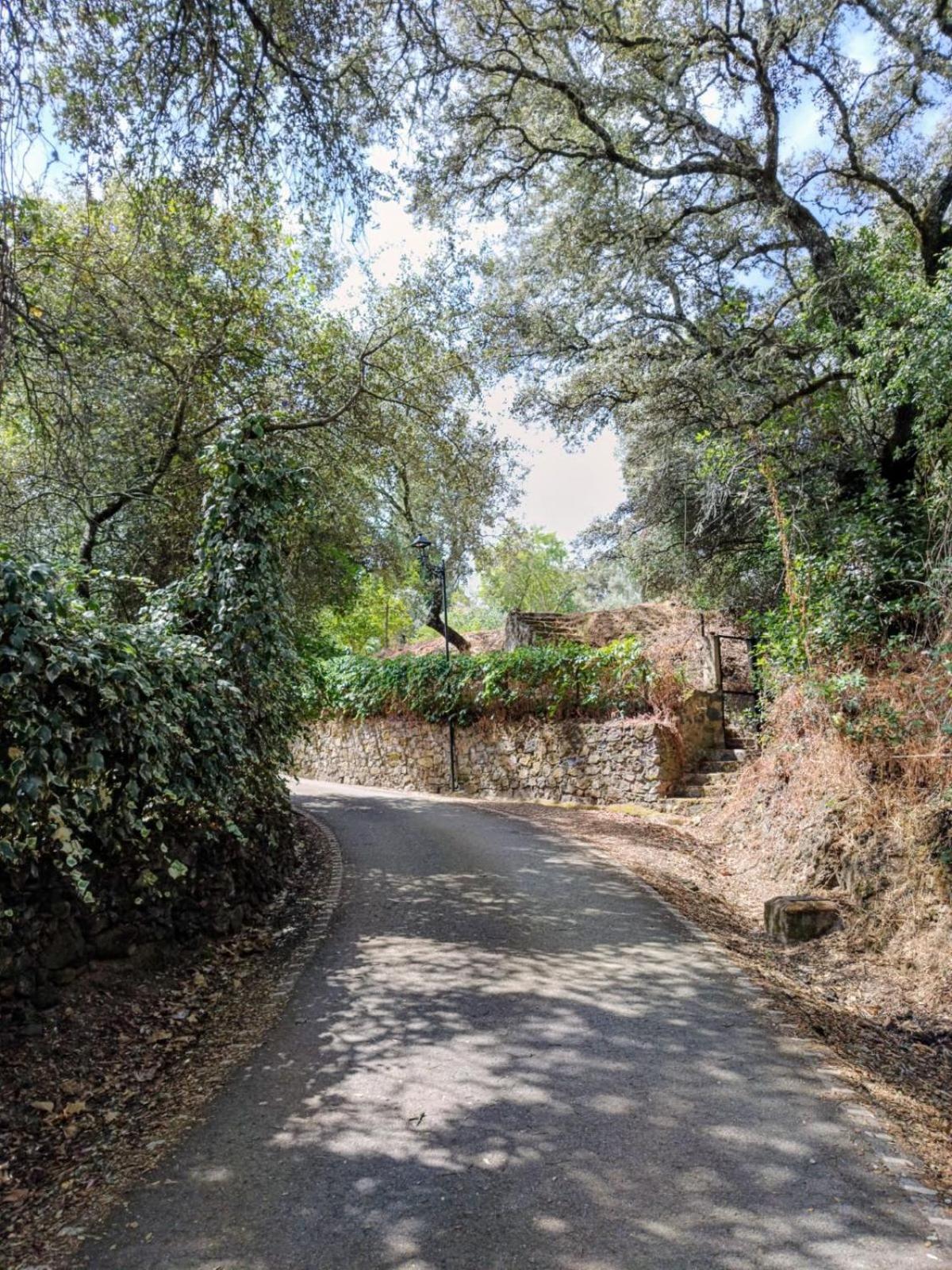 Casa Rural El Olivo Арасена Экстерьер фото